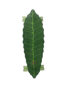 Leaf Board By Special Boards