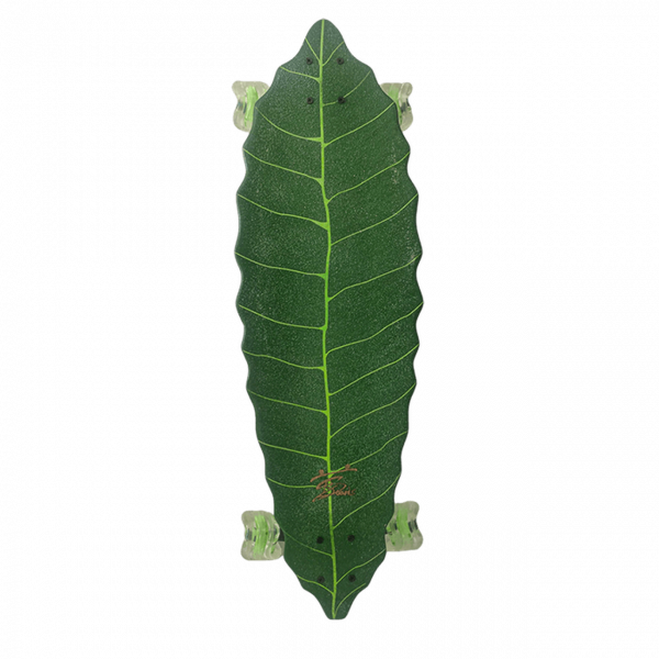 Leaf Longboard ( Shark Wheel X Special Boards )